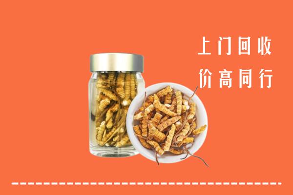 晋城回收冬虫夏草