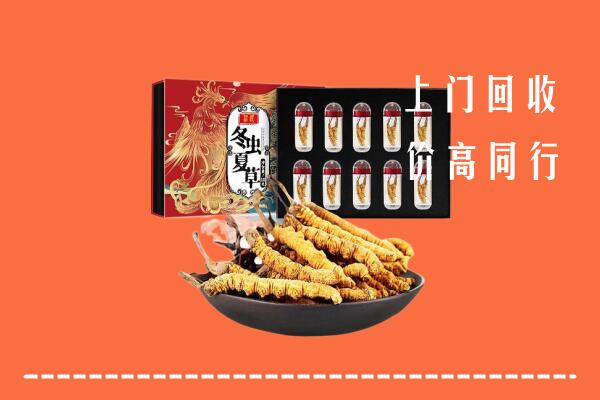 晋城回收虫草